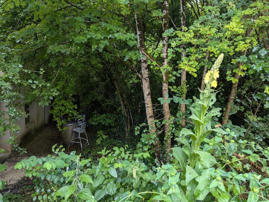 Gite Zen Dans Les Bois Blesignac Ngoại thất bức ảnh